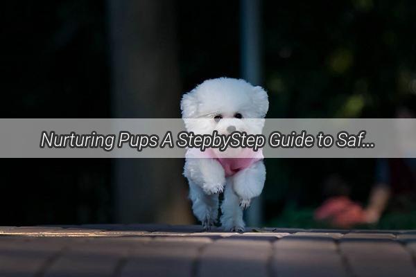 Nurturing Pups A StepbyStep Guide to Safely Administering Flea and Tick Treatments for Your Young Dogs